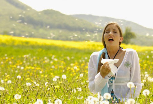 getty_woman_sneezing_in_flowering_meadow.jpg