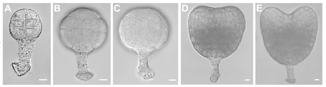 journal.pbio.1001655.g002