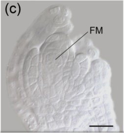 Screen Shot 2017-08-12 at 4.38.19 PM.png