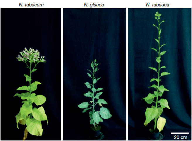 Screen Shot 2017-09-27 at 10.10.10 PM