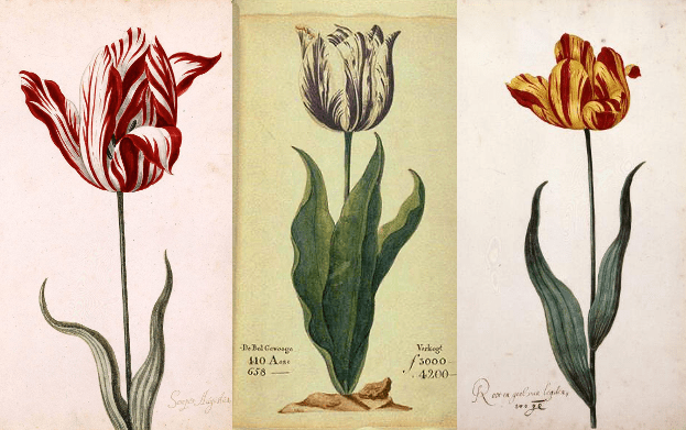 Holland's Finest.png