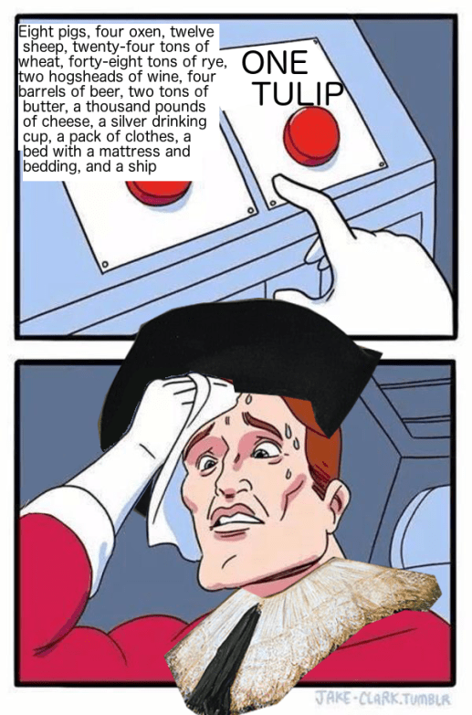 one tulip hard choice