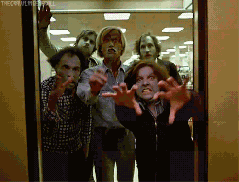 worryingly invasive.gif