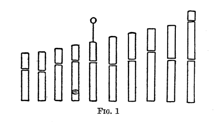 Screen Shot 2018-05-26 at 12.20.50 PM.png